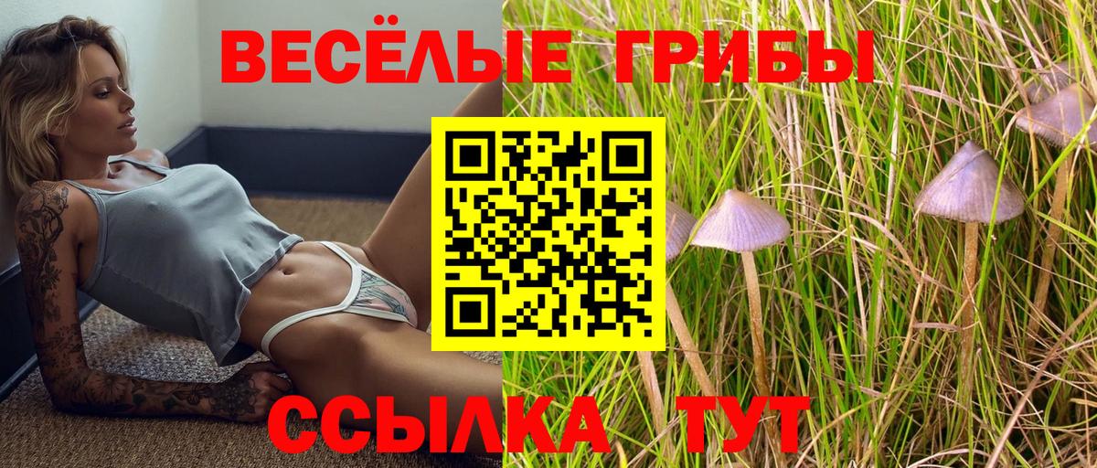 Галлюциногенные грибы Psilocybine cubensis Мирный