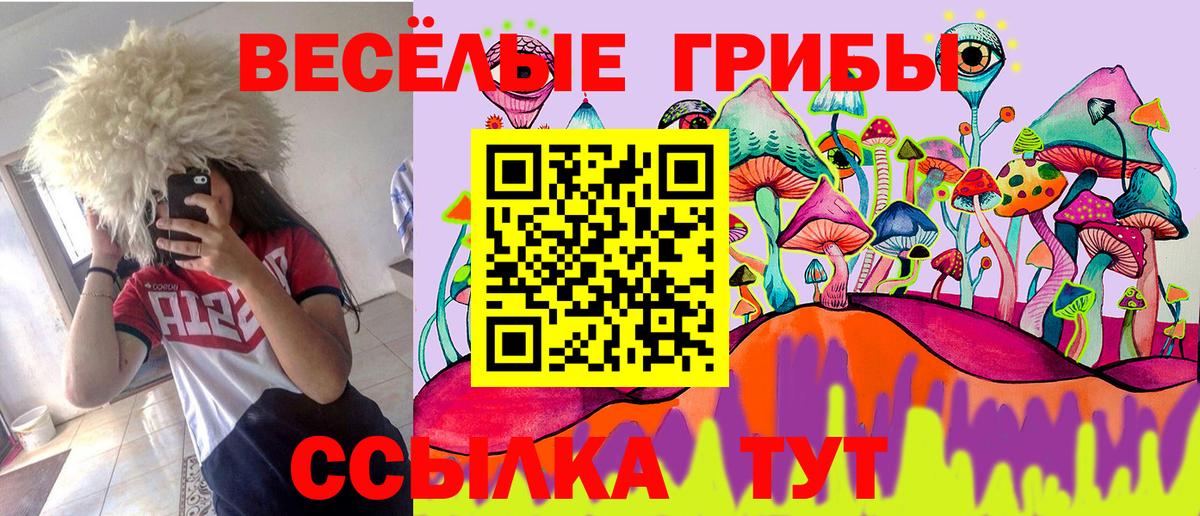 Мирный  Галлюциногенные грибы Psilocybine cubensis  Вход с VPN  Галлюциногенные грибы GOLDEN TEACHER 